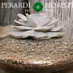 http://www.perardifioristi.it/wp-content/uploads/2015/09/piantagrassa.png